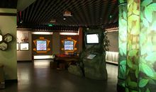 参观中国茶叶博物馆