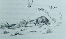 读《被困住的海豚》有感