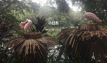 长隆野生动物园游记之勇闯青龙山