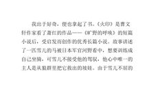 读《火印》有感