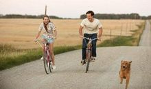 观《一条狗的使命》有感