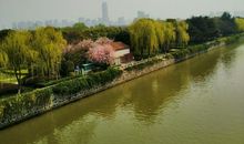 只因经历才知美丽