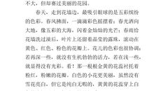 雨的诉说400字作文