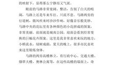 这里真美300字作文