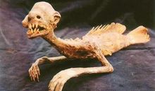 不看不知道，一看吓一跳