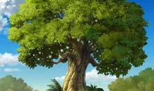 我是一棵高大的树