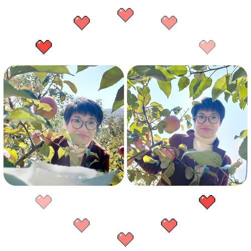 我了解生活的色彩