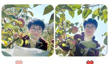 我读懂了生命的颜色