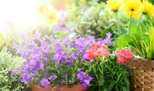 一次小小的测验