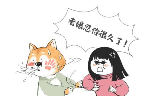 我很棒的室友