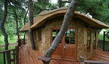 读大森林里的小木屋有感