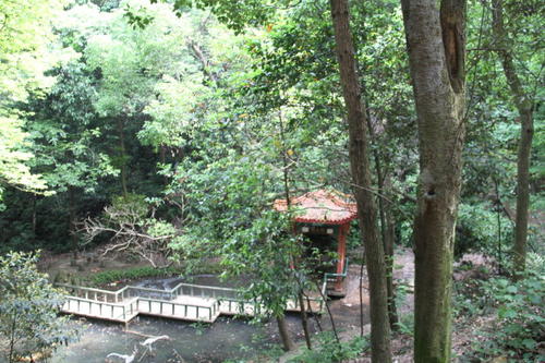 春季东台山