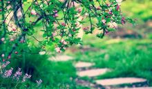 一路温暖一路成长