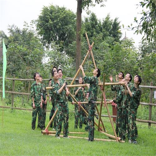 罗马大炮比赛