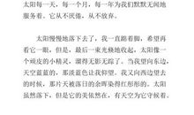 日落即景作文400字五年级