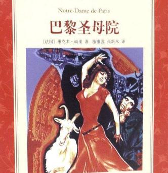 读巴黎圣母院后的500个字