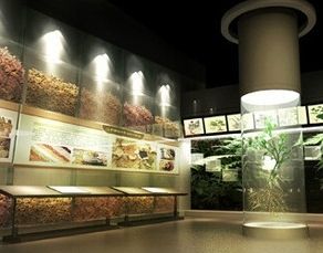 中医药博物馆参观