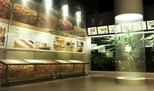 游中医药博物馆
