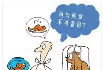 鱼和熊掌