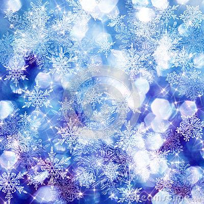 冬天的小信使雪花