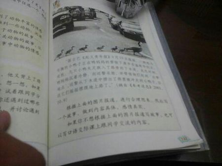 鸭妈妈的蛋作文200字