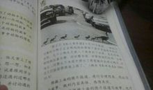 鸭妈妈的蛋作文200字