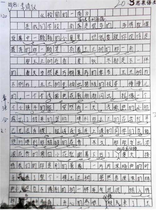 校园一角组成500字
