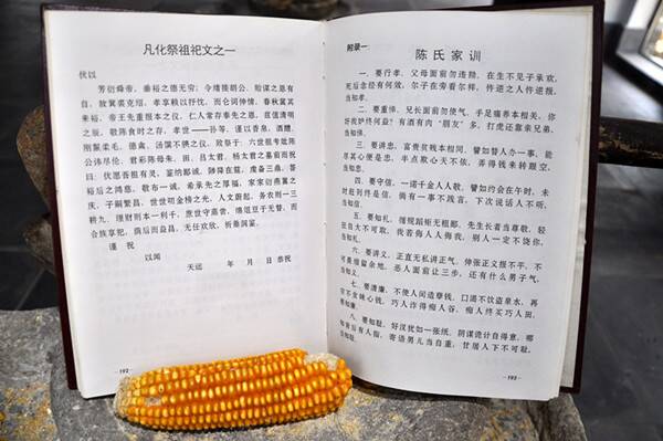 关于家庭规则