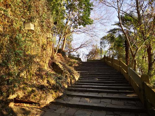 鹳山旅行