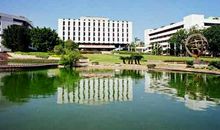 我们的校园最美丽