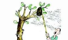 都是捅马蜂窝惹的祸