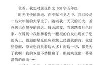 爸爸我想对你说作文400字