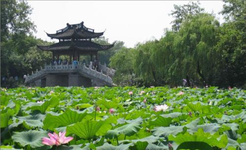 我喜欢西湖的美景