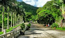 条条道路通成功