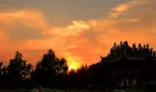 月光下最美的母亲