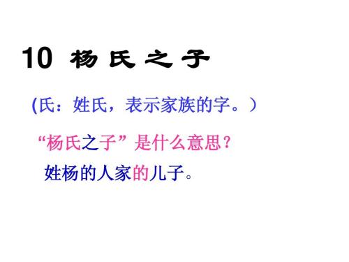 杨氏儿子的思想