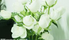 永难忘记的眼神