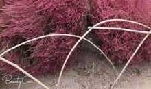 放慢脚步调整自己