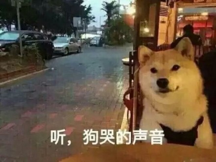 听哭声