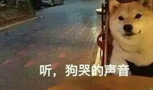 听，心哭的声音