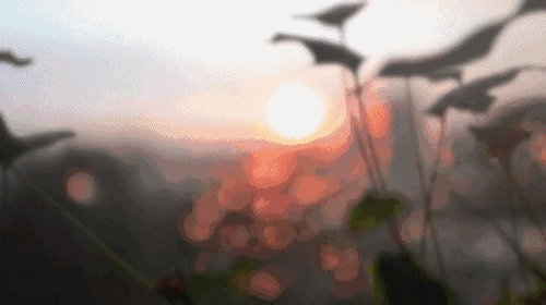 我的心在下雨