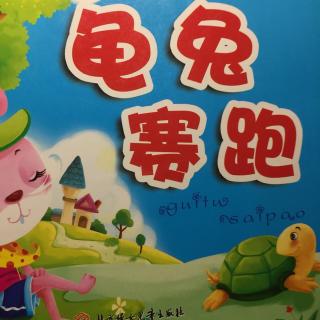 读《乌龟与野兔》 400字