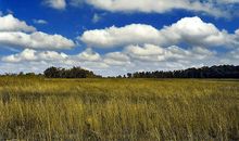 爱远比地平线远得多