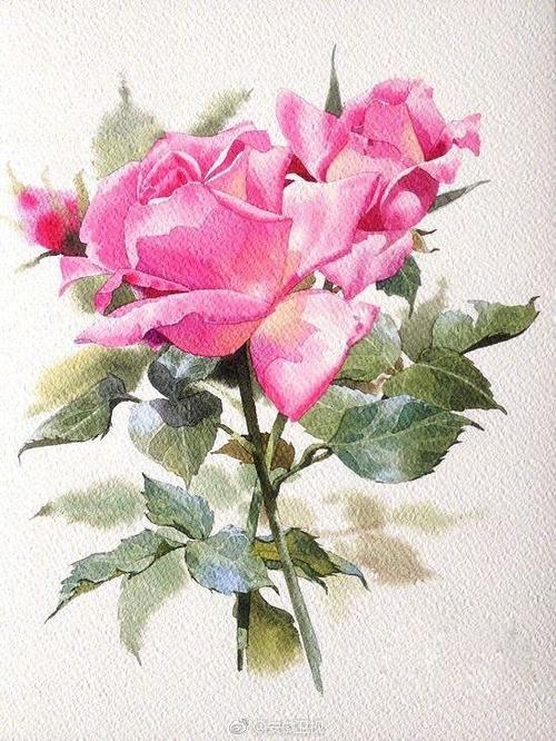 时间安静，花朵盛开