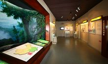 参观茶叶博物馆