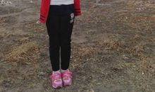 假如我是一只全能的小鸟