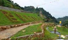 别具一格的生物园