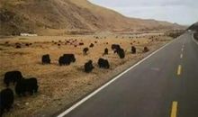 火车一直开，开向远方