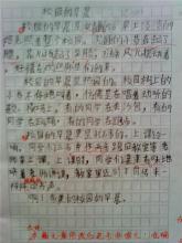 关于清晨的组成