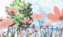 心灵深处的杨柳